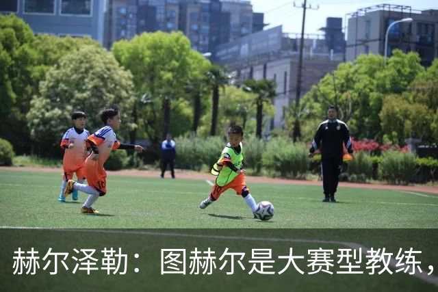 赫尔泽勒：图赫尔是大赛型教练，他为英格兰队带回了团结精神